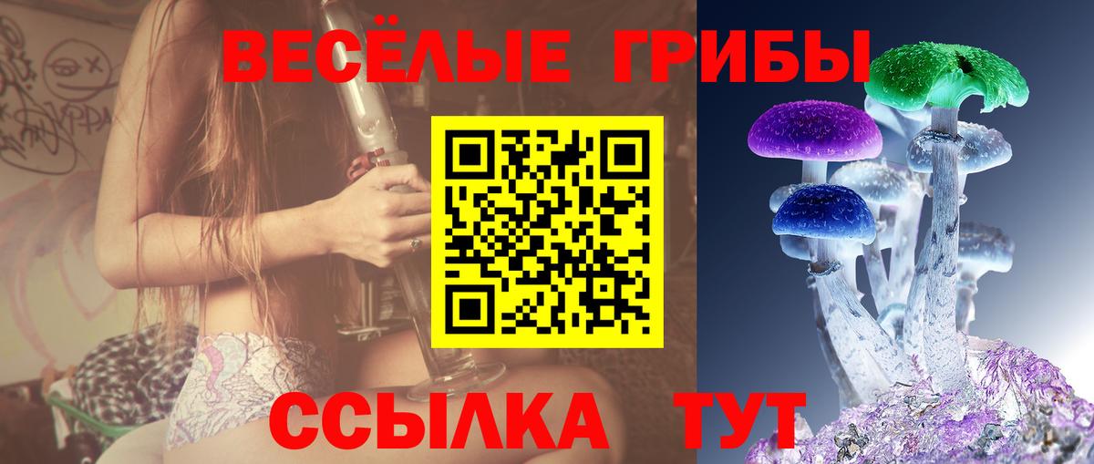 Псилоцибиновые грибы Psilocybe  Вход с VPN  Балаково  где можно купить   Псилоцибиновые грибы Psilocybe 